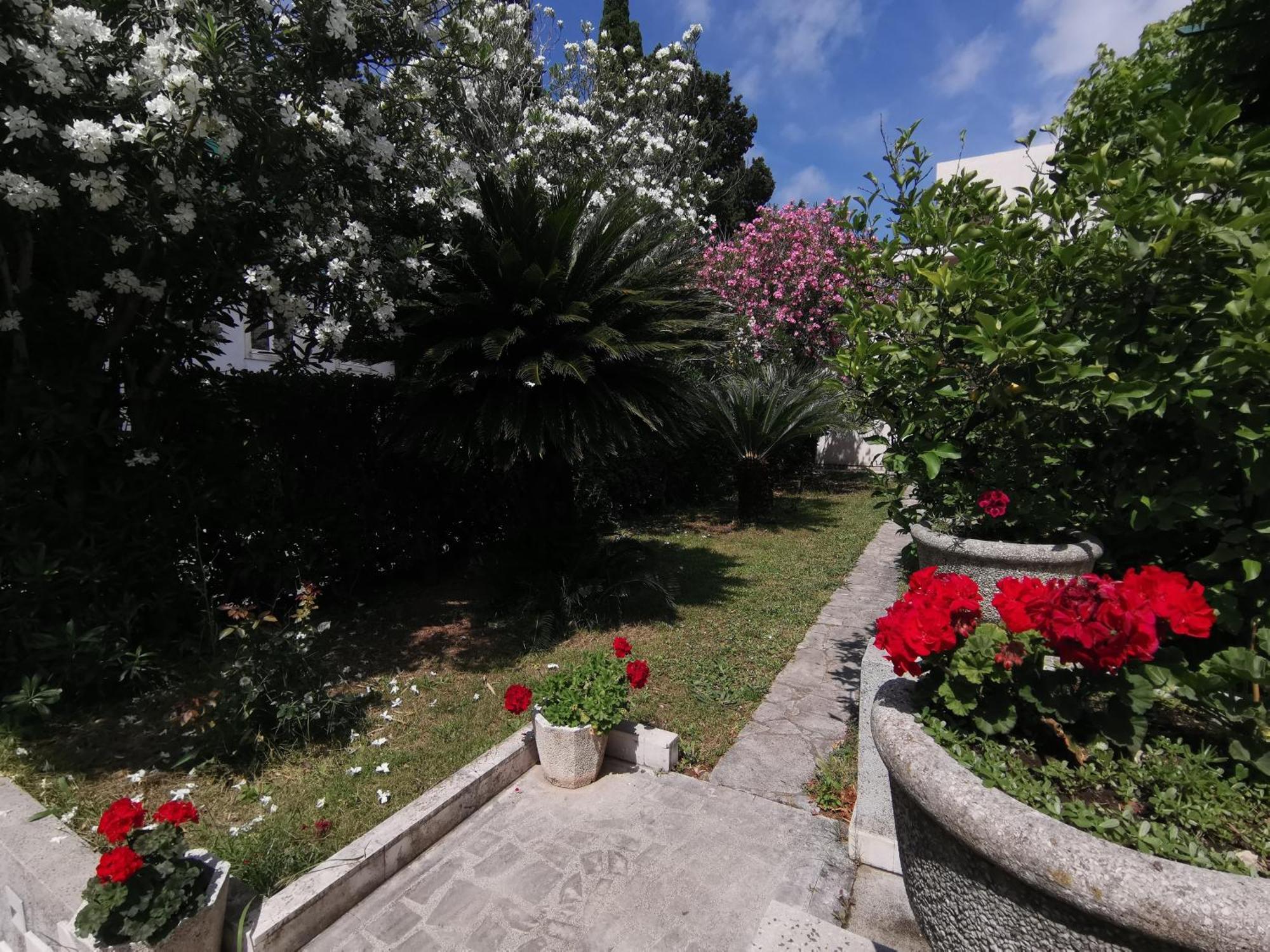 Apartments Maris Garden Petrovac Екстер'єр фото