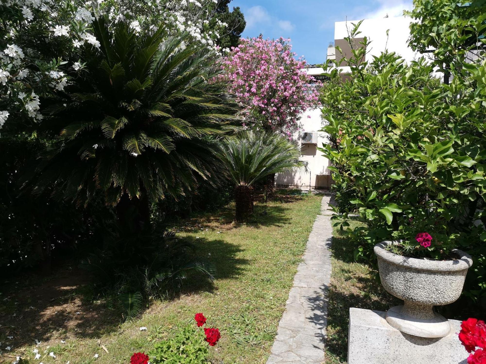 Apartments Maris Garden Petrovac Екстер'єр фото